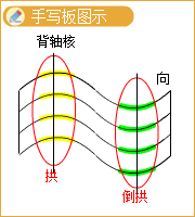 圖片65